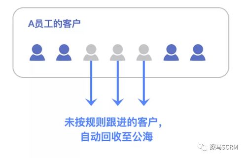 探马crm,给你 钞 能力